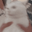 Lmcatshake emoji