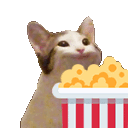 PopcornCat emoji