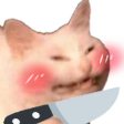 knifecat emoji