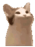 catnom emoji