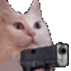 MC_catgun emoji
