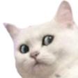 CatNanie emoji