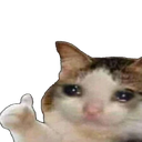 cat_thumbsup emoji