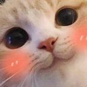 Uccutecatblush emoji