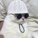 halalcat emoji