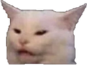 wha_excuse_me_cat emoji