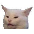 catconfused emoji