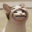 broinacathoodiesad emoji