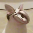 broinacathoodiecursed emoji