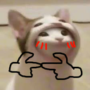broinacathoodieblush emoji