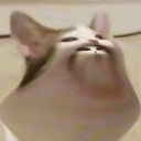 broinacathoodiefat emoji