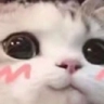 CatBlush emoji