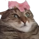 tmflowercat emoji