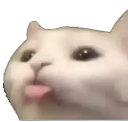 catmlemm emoji