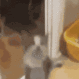 catjump emoji