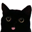 CatMelm emoji