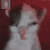 catgatofumao emoji
