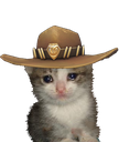 crayingcat emoji