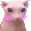 blushcat2 emoji