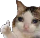 CatThumbsUp emoji