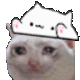 catbongo emoji