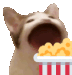 Popcat_eat_popcorn emoji