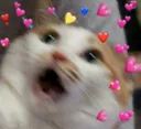 5802catfear emoji