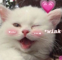 4172catwink emoji