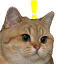 4000whatcat1 emoji