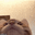cat emoji