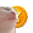 CatZG emoji