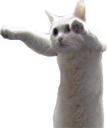 longcat1 emoji
