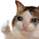 savagecat emoji