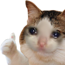 2KSFokcryingcat emoji