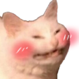 blushingkitty emoji