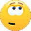 4_skythink emoji
