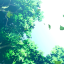 the breezy meadow Discord Server Logo