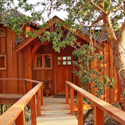 ♡The Fun treehouse♡ Discord Server Logo