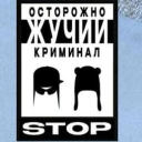 жучии криминал Discord Server Logo