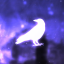 Raven SS Community Discord Server Logo