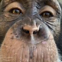 The Banana Busters Discord Server Logo