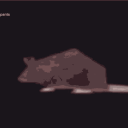 keerlev rott Discord Server Logo