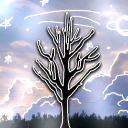 🌲 Haiz Fusion Discord Server Logo