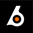 Birdeye Discord Server Logo