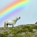 Realm of the Horse Discord Server Logo