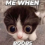 meme Discord Server Logo