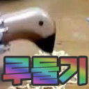 🎉 루둘기 서버 Discord Server Logo