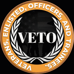 Veterans Discord Server Logo