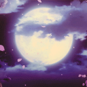 Nightbloom Discord Server Logo