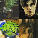 Green Herb Addicts Discord Server Logo
